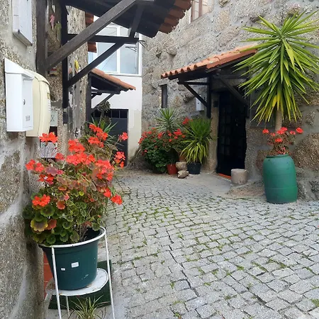 José Domingos Belmonte (Castelo Branco)