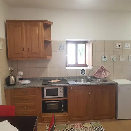 José Domingos Belmonte (Castelo Branco)