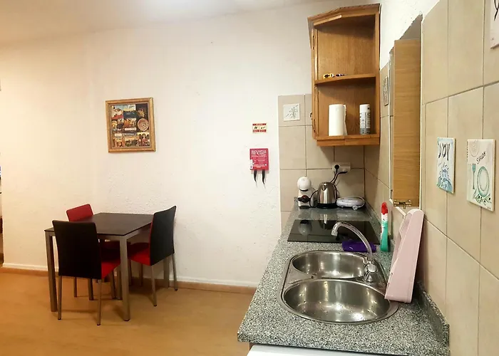 Jose Domingos Belmonte (Castelo Branco)