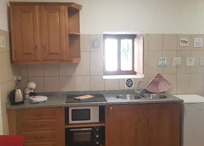 Jose Domingos Belmonte (Castelo Branco)